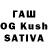 Галлюциногенные грибы GOLDEN TEACHER Manar Oulmi