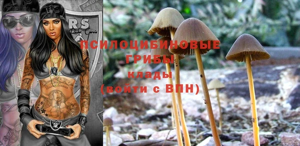 гашик Абаза