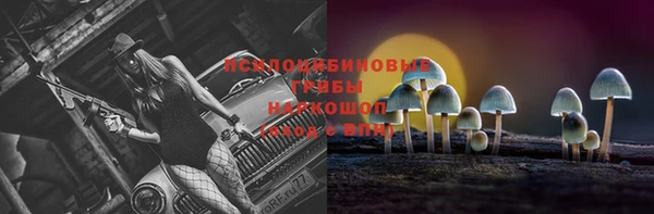 гашик Абаза